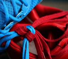 Shoelace